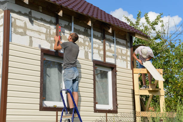 Best Siding Painting and Refinishing  in Braska City, NE